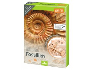 Set de excavación de fósiles-Moses